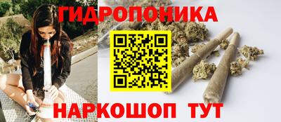 шишки Аргун