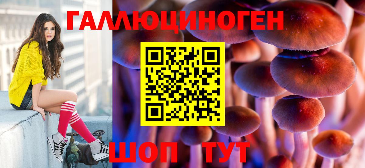 Артём  Псилоцибиновые грибы Psilocybine cubensis  хочу   Вход с VPN 